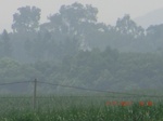 32660CIMG1781.JPG