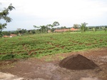 14574IMG_4940.JPG