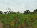 18404P1000240.JPG