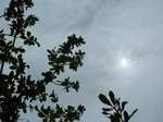 18538P1000374.JPG