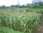 33612RIMG0277.JPG