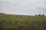 2023-11-13_14-08-12_07AE9515-47CF-4973-A88E-718F9A4FC49F.jpeg