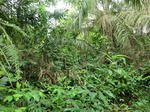 45974CIMG0263.JPG