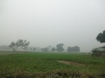 40240CIMG9251.JPG