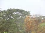 48259CIMG4596.JPG