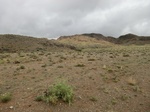 36780CIMG0550.JPG