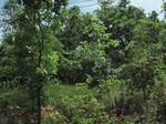 34437IMG_5420.JPG
