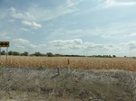 35545DSC02042.JPG