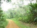 48121CIMG4458.JPG