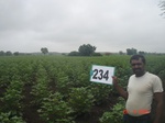 128340234a-rainfed-agriculture-cotton.gif