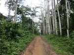 46026CIMG0315.JPG