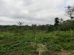 46225CIMG0514.JPG
