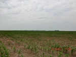 29389CIMG0623.JPG