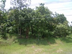 33627RIMG0292.JPG