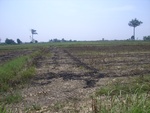 28262RIMG0262.JPG