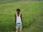 130640298a-rainfed-agriculture-mixedcrop-greengram-rice-doublecrop-wheat-chickpea.gif