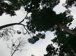 45983CIMG0272.JPG