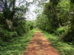 46339CIMG0628.JPG