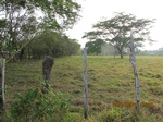 30048IMG_5351.JPG
