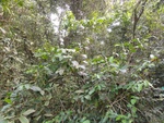 46648DSC01981.JPG