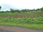 20986P1020855.JPG