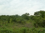 18405P1000241.JPG