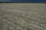 51495AGR_WA_039_L2.jpg