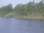 1413R0015156_small.jpg