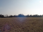 10068DSC02794.JPG