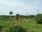 18756P1000594.JPG