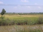 26499RIMG0430.JPG