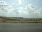 35282DSC02487.JPG