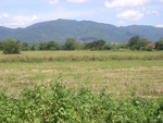 33591RIMG0256.JPG