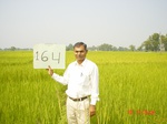 11402gt164-cropland-1.jpg
