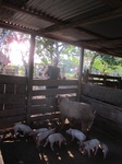 32029IMG_5701.jpg