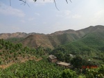 53475CIMG6812.JPG