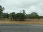35781DSC02542.JPG