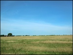 52438CIMG0019.JPG