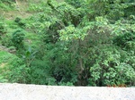 53522CIMG6863.JPG