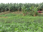 50775CIMG1404.JPG