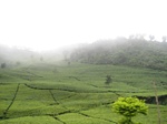 16454IMG_5239.JPG
