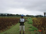 73210278d-rainfed-agriculture-soyabean.jpg