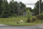 2024-09-24_16-08-41_33EBCA61-1999-4150-A48D-7112CFCD9AD8.jpeg