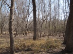 8602IMG_1227.JPG