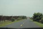 2024-08-05_15-52-09_66753265-E41F-41D9-83F0-FE0E0936D4FA.jpeg