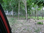 50591CIMG1220.JPG