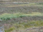 24913DSC00020.JPG