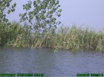 1412R0015155_tag.jpg