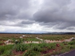 55878CIMG6568.JPG