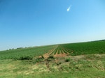 55274CIMG1327.JPG